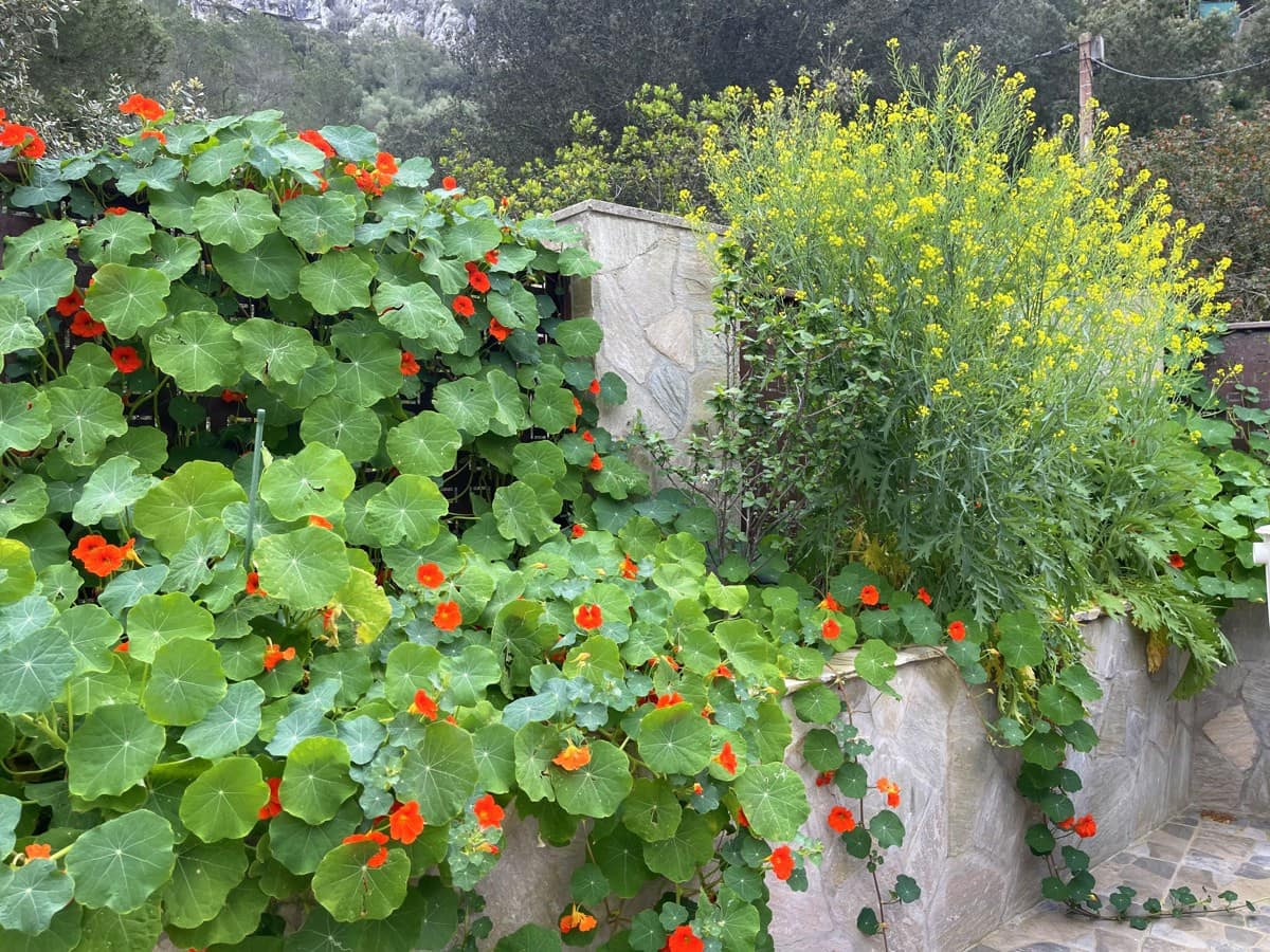 2 soverom Villa til salgs i Galilea med svømmebasseng - € 670 000 (Ref: 8929736)