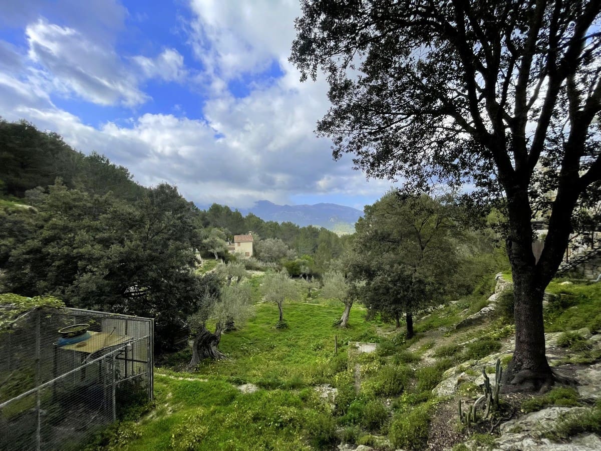 2 soverom Villa til salgs i Galilea med svømmebasseng - € 670 000 (Ref: 8929736)