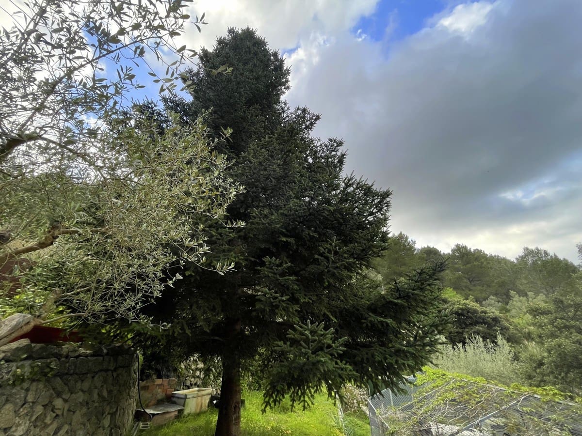 2 soverom Villa til salgs i Galilea med svømmebasseng - € 670 000 (Ref: 8929736)