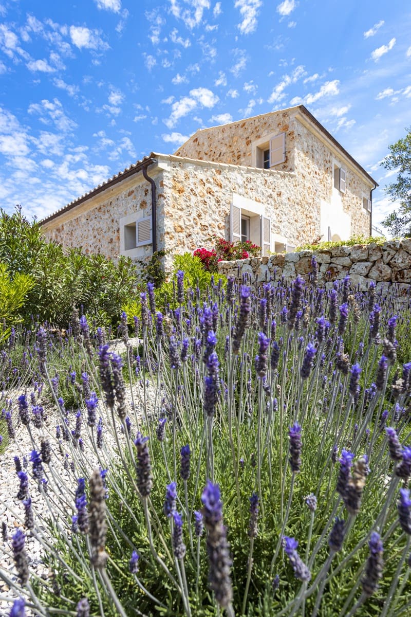 3 camera da letto Finca/Casa di Campagna in vendita in Ses Salines con piscina - 3.695.000 € (Rif: 8983245)