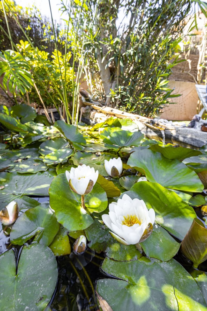 4 soveværelse Villa til salg i El Toro / Port Adriano med swimmingpool - € 1.650.000 (Ref: 9002358)