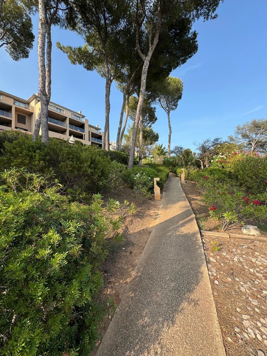 2 soveværelse Lejlighed til salg i Peguera / Paguera - € 649.000 (Ref: 9058570)