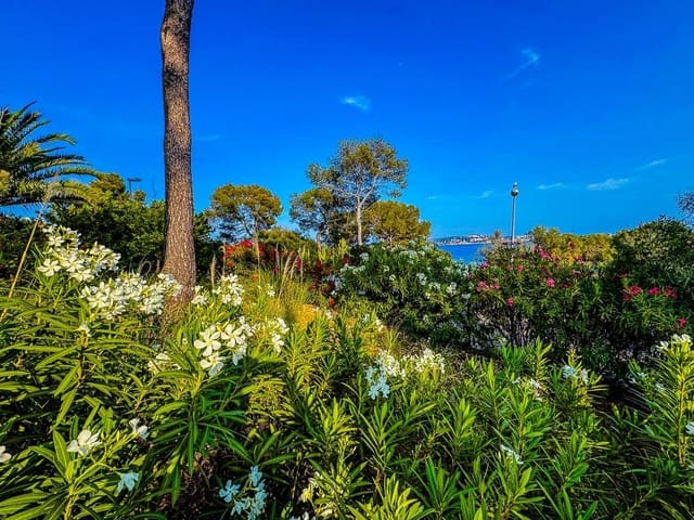 2 quarto Apartamento para venda em Peguera / Paguera, Calvià - 649 000 € (Ref: 9058570)