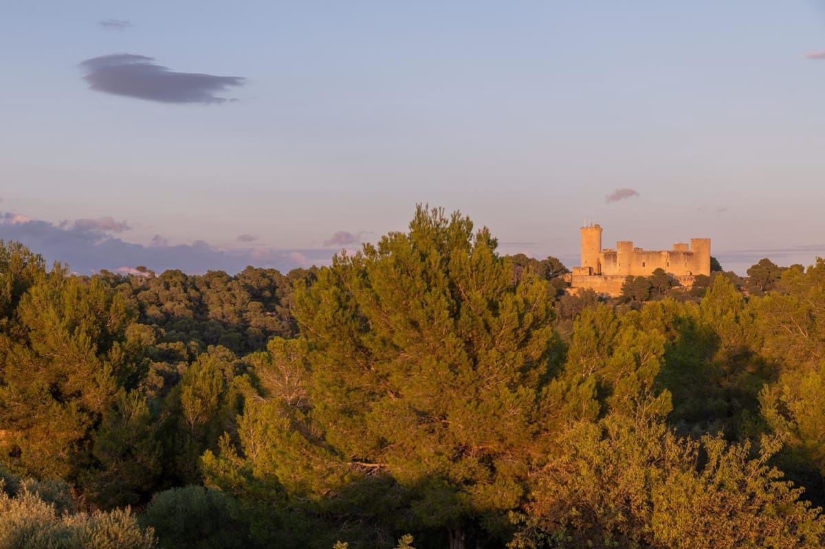 2 soverom Leilighet til salgs i Palma de Mallorca - € 975 000 (Ref: 9064745)