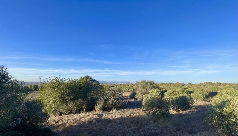 7 soveværelse Hotel til salg i Son Serra de Marina med swimmingpool - € 1.690.000 (Ref: 9251700)