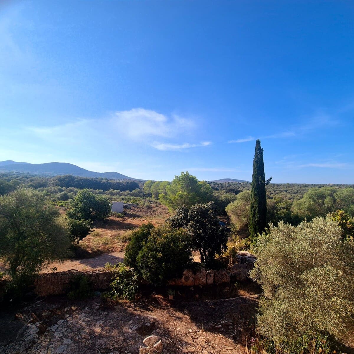 7 soveværelse Hotel til salg i Son Serra de Marina med swimmingpool - € 1.690.000 (Ref: 9251700)