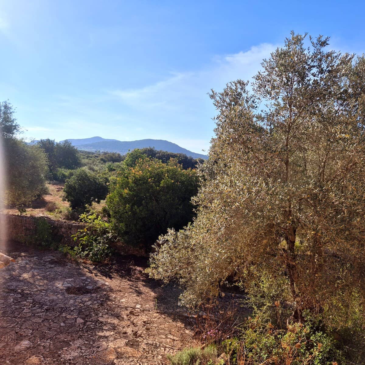 7 soveværelse Hotel til salg i Son Serra de Marina med swimmingpool - € 1.690.000 (Ref: 9251700)