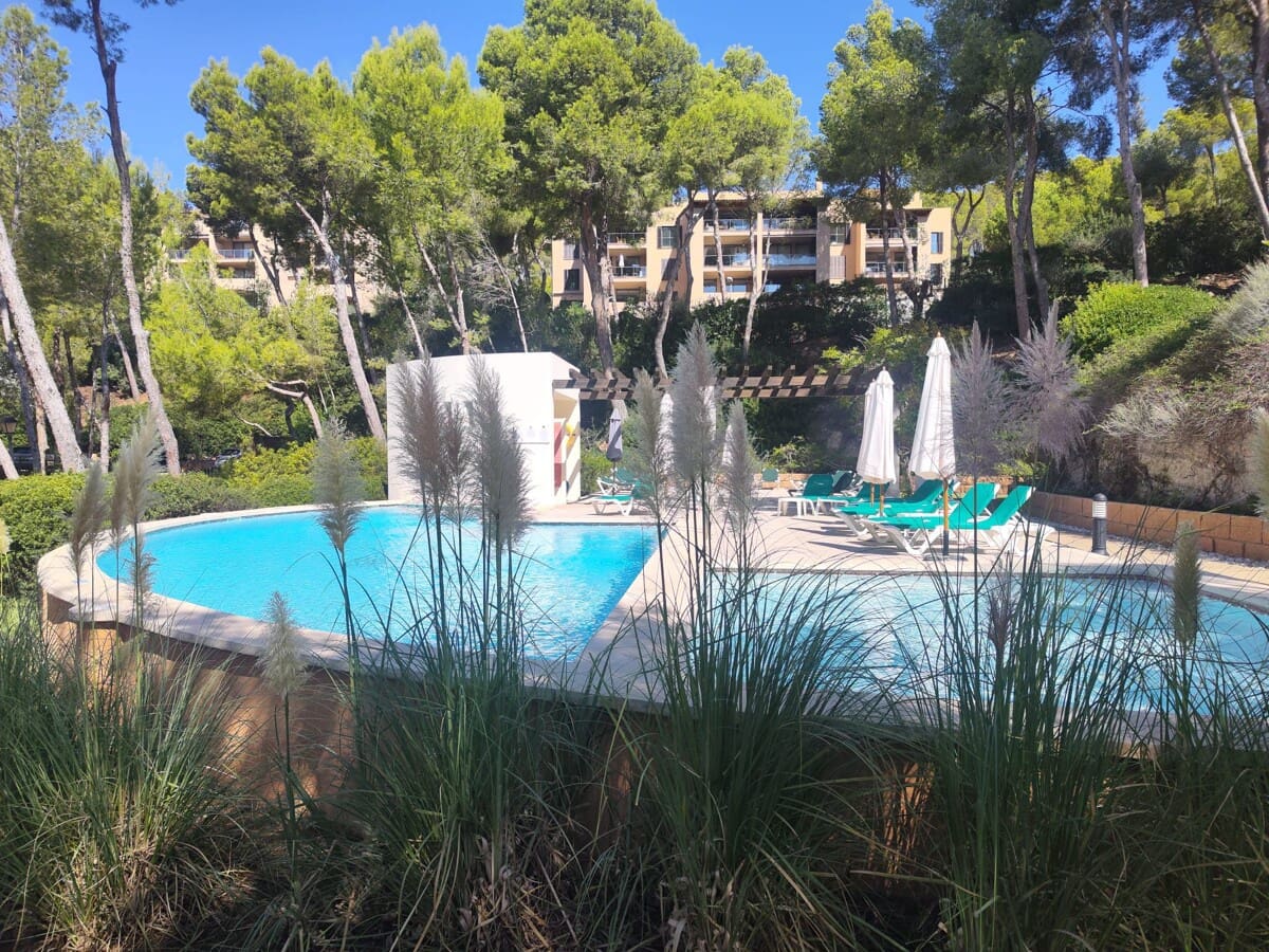 2 soveværelse Lejlighed til salg i Cala Fornells med swimmingpool - € 475.000 (Ref: 9263923)