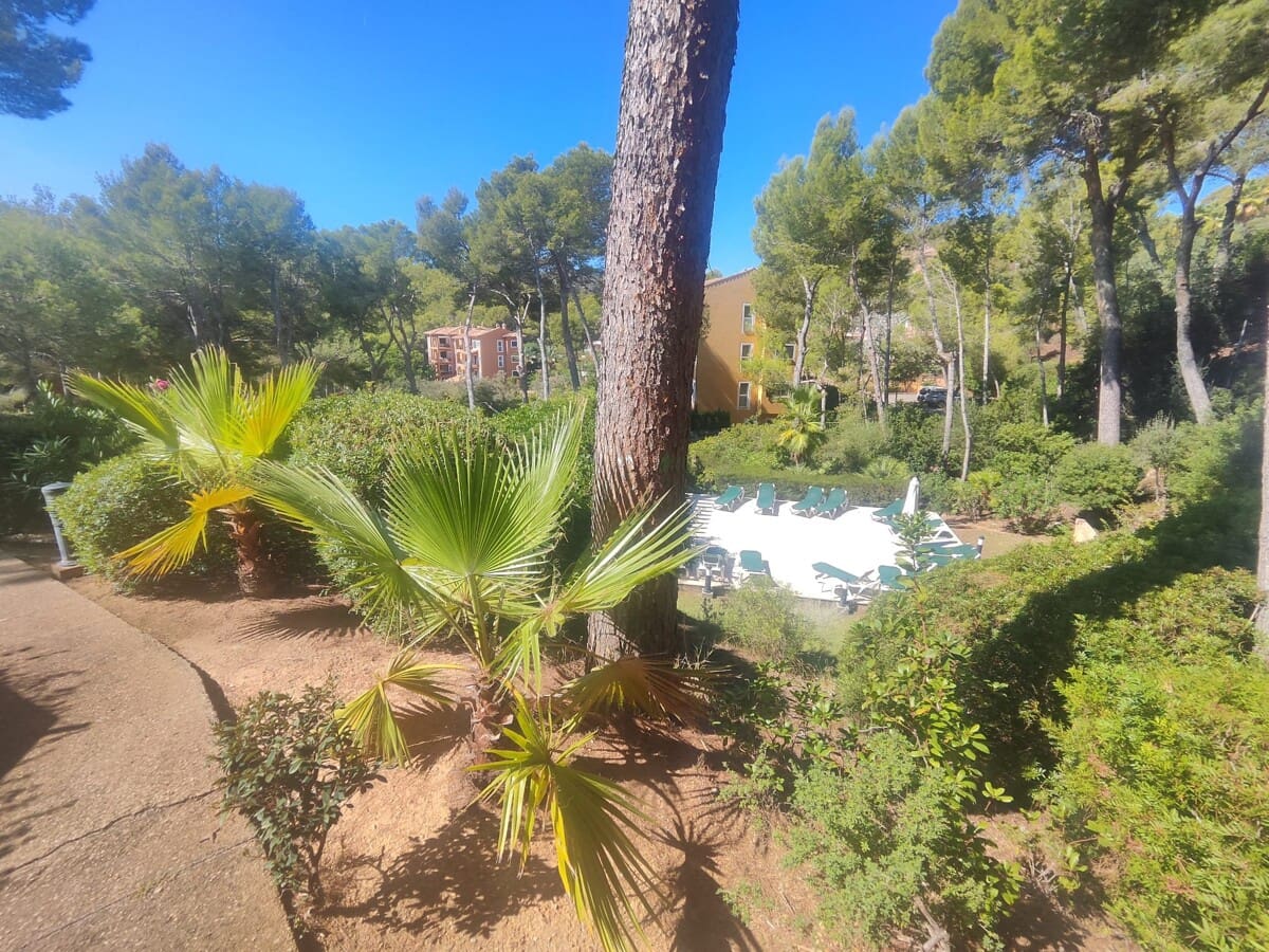 2 soveværelse Lejlighed til salg i Cala Fornells med swimmingpool - € 475.000 (Ref: 9263923)