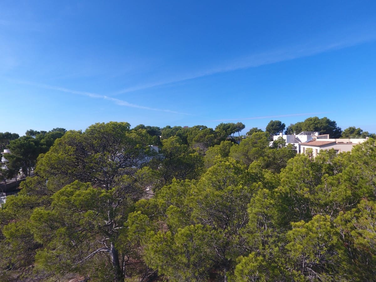 Grunde uden byggetilladelser til salg i Cala Vinyes / Cala Vinyas / Cala Vinas - € 1.550.000 (Ref: 9279692)