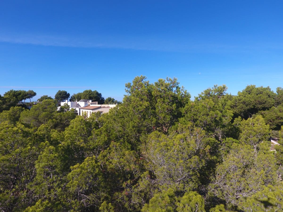 Grunde uden byggetilladelser til salg i Cala Vinyes / Cala Vinyas / Cala Vinas - € 1.550.000 (Ref: 9279692)