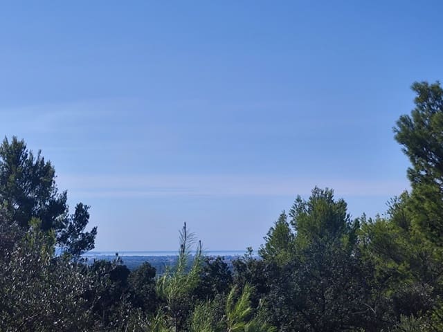 Ubebygd land til salgs i Bunyola - € 600 000 (Ref: 9279693)