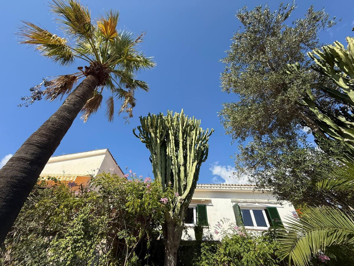 3 sypialnia Willa na sprzedaż w Cala Vinyes / Cala Vinyas / Cala Vinas - 1 450 000 € (Ref: 9319820)