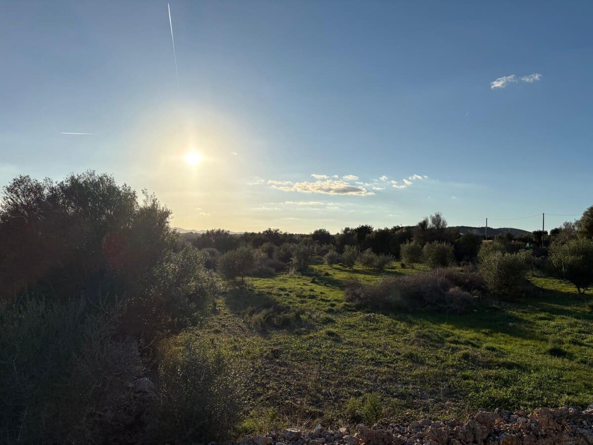 Grond te koop in Sant Llorenc des Cardassar - € 895.000 (Ref: 9346552)