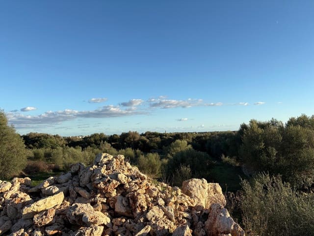 Undeveloped Land for sale in Sant Llorenç des Cardassar - € 895,000 (Ref: 9346552)