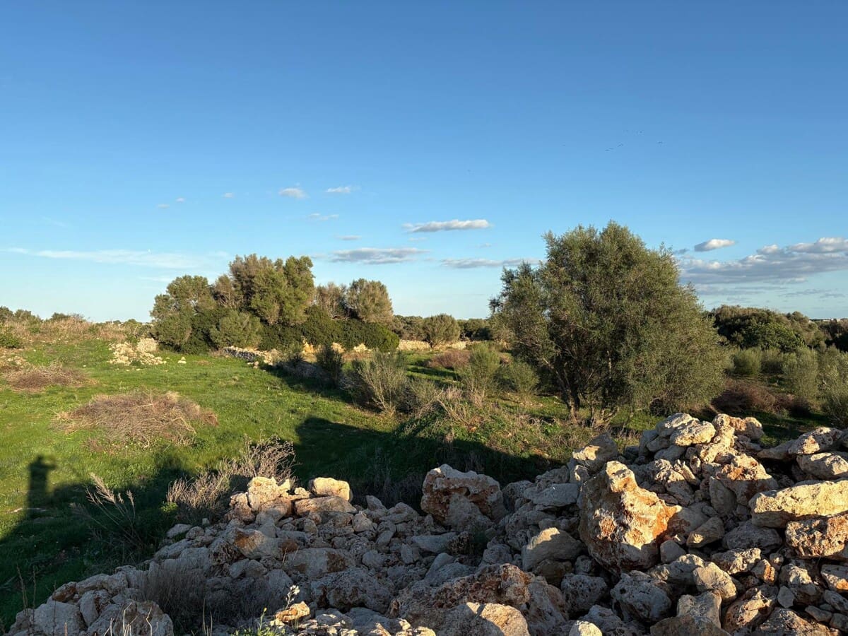 Grond te koop in Sant Llorenc des Cardassar - € 895.000 (Ref: 9346552)