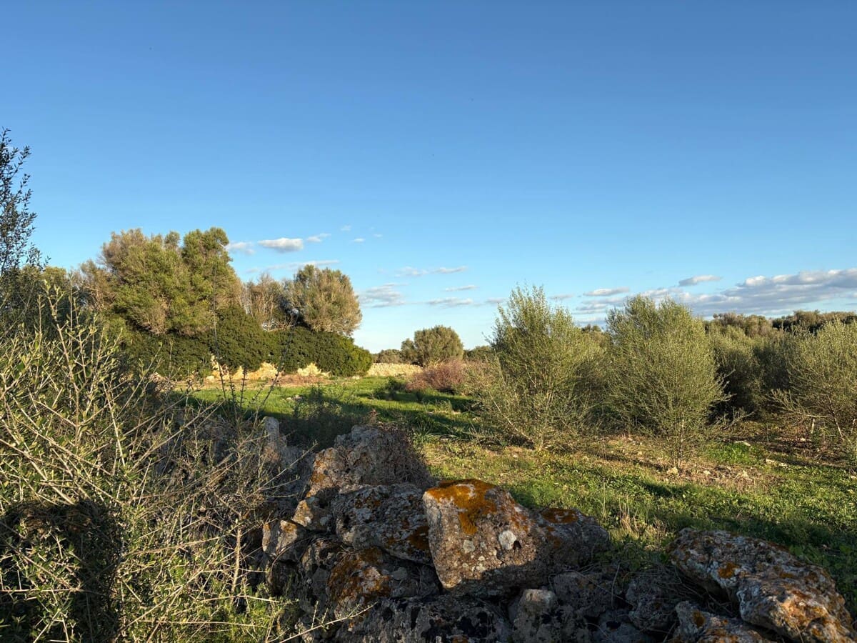 Grond te koop in Sant Llorenc des Cardassar - € 895.000 (Ref: 9346552)