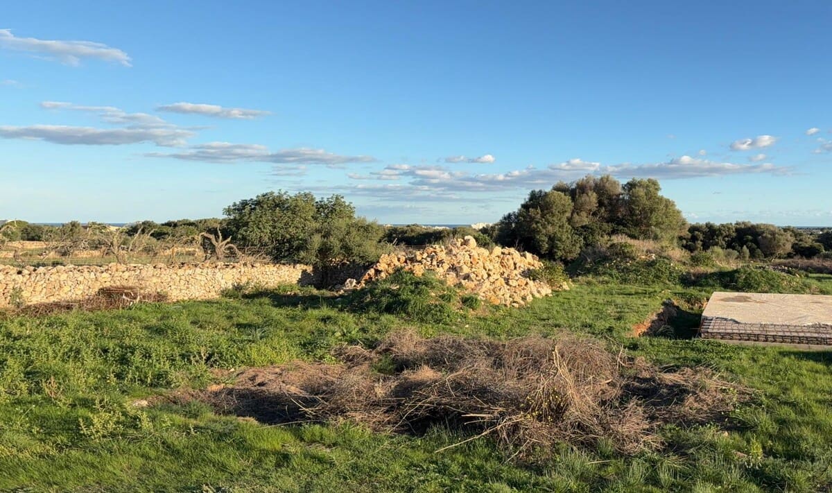 Grond te koop in Sant Llorenc des Cardassar - € 895.000 (Ref: 9346552)