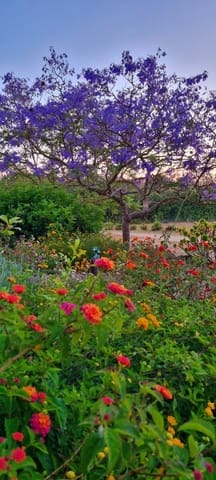 4 soverom Finca/Herregård til salgs i Sant Llorenç des Cardassar med svømmebasseng garasje - € 1 849 000 (Ref: 9400229)