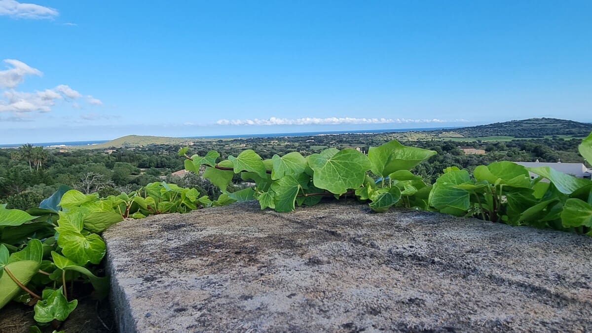 4 bedroom Finca/Country House for sale in Sant Llorenc des Cardassar with pool garage - € 1,849,000 (Ref: 9400229)