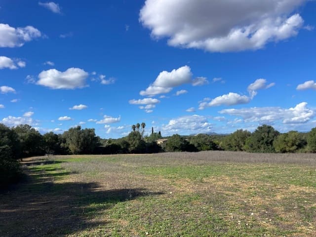 Terreno Não Urbanizado para venda em Felanitx - 275 000 € (Ref: 9400230)