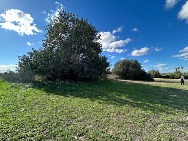 Terreno Não Urbanizado para venda em Felanitx - 275 000 € (Ref: 9400230)