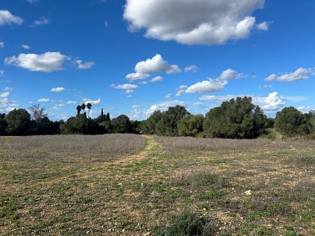 Terreno Não Urbanizado para venda em Felanitx - 275 000 € (Ref: 9400230)