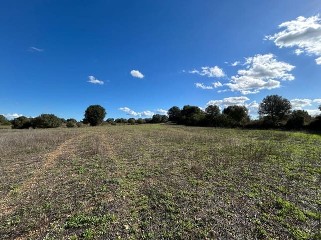 Terreno Não Urbanizado para venda em Felanitx - 275 000 € (Ref: 9400230)