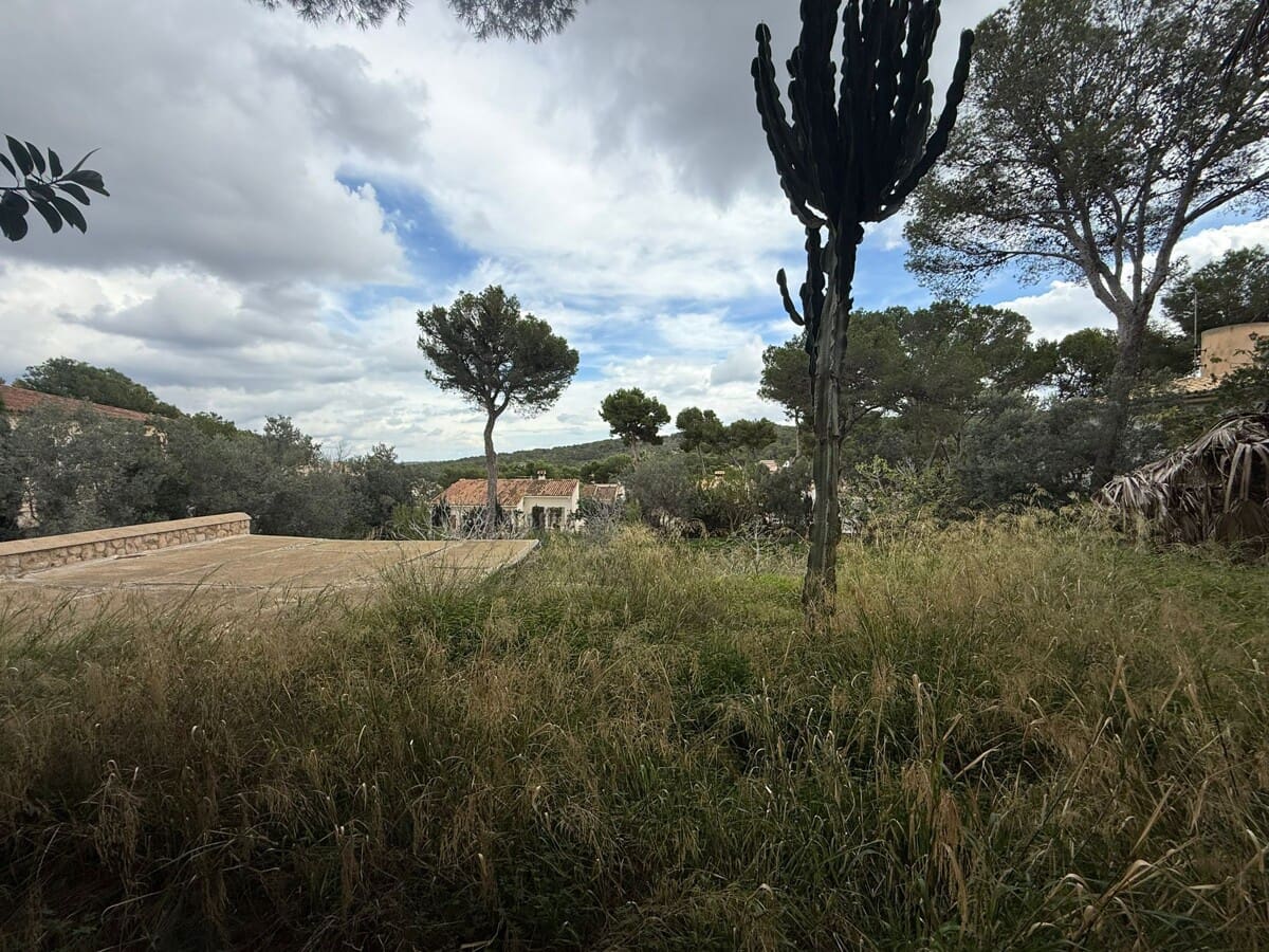 Undeveloped Land for sale in Santa Ponsa - € 1,300,000 (Ref: 9405841)