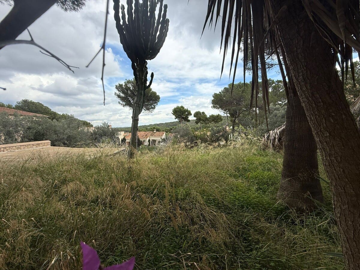 Undeveloped Land for sale in Santa Ponsa - € 1,300,000 (Ref: 9405841)