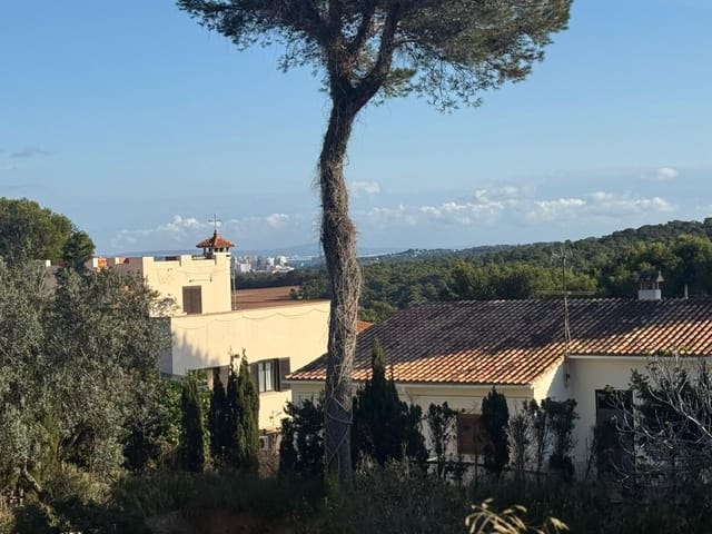 Terre non Aménagée à vendre à Santa Ponsa, Calvià - 1 300 000 € (Ref: 9405841)