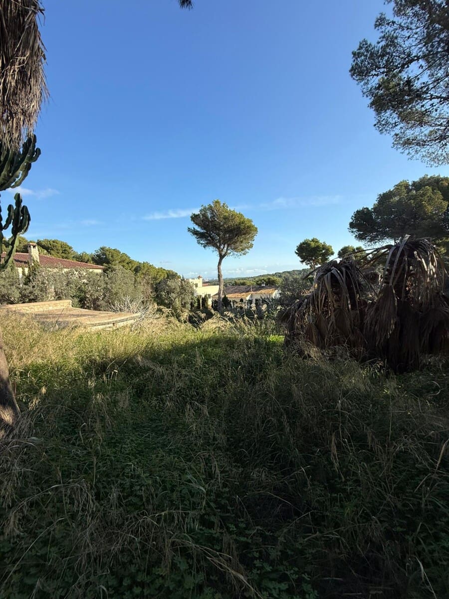 Undeveloped Land for sale in Santa Ponsa - € 1,300,000 (Ref: 9405841)