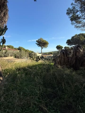 Terre non Aménagée à vendre à Santa Ponsa, Calvià - 1 300 000 € (Ref: 9405841)