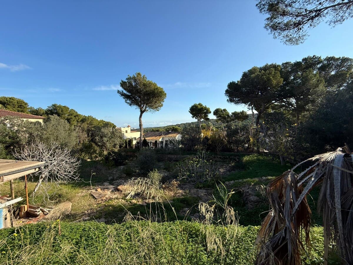 Undeveloped Land for sale in Santa Ponsa - € 1,300,000 (Ref: 9405841)