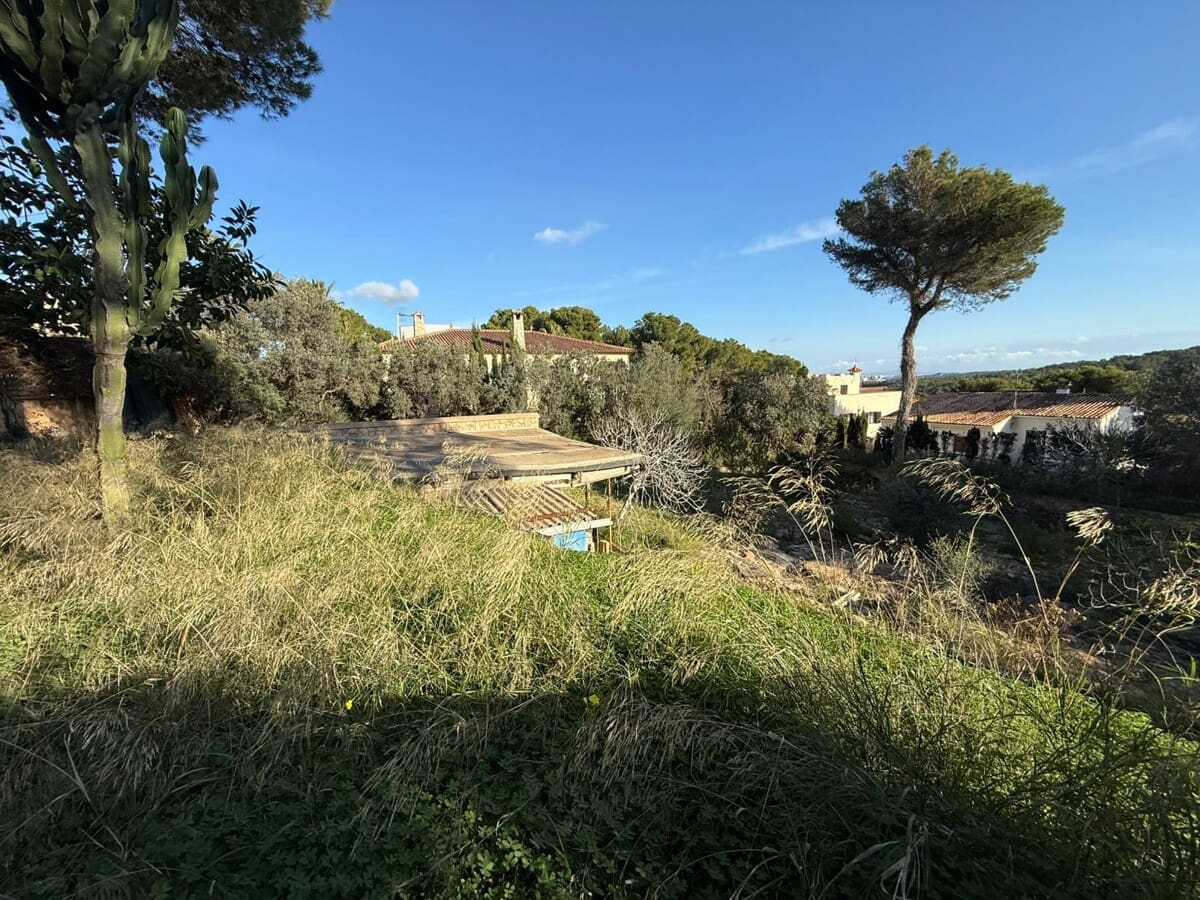 Undeveloped Land for sale in Santa Ponsa - € 1,300,000 (Ref: 9405841)