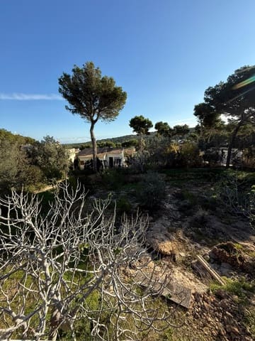 Terre non Aménagée à vendre à Santa Ponsa, Calvià - 1 300 000 € (Ref: 9405841)