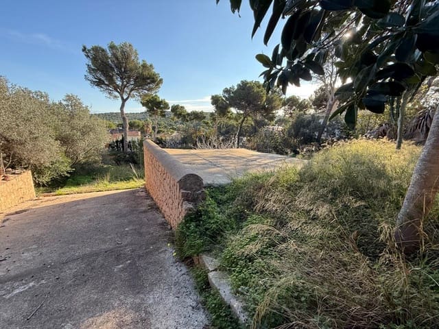 Terre non Aménagée à vendre à Santa Ponsa, Calvià - 1 300 000 € (Ref: 9405841)