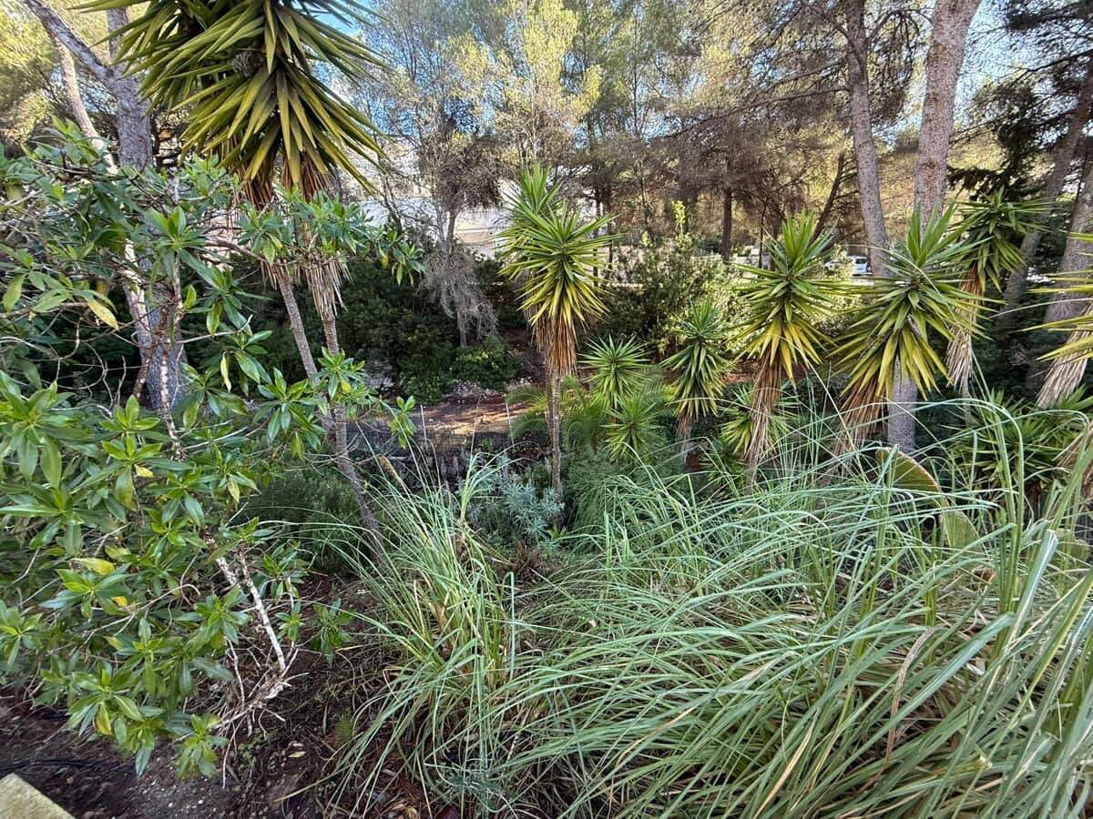 3 bedroom Villa for sale in Costa de la Calma with pool garage - € 1,200,000 (Ref: 9436398)