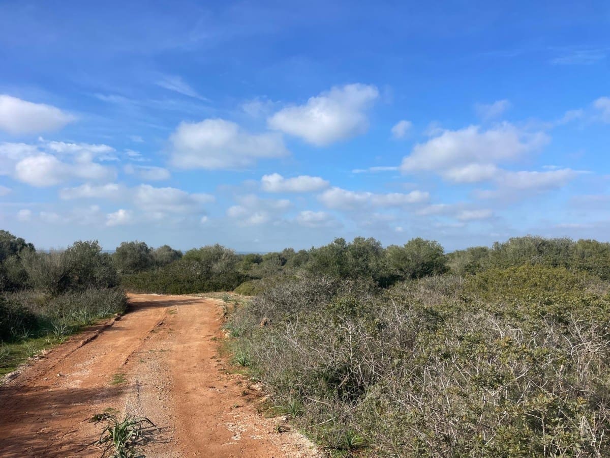 5 soveværelse Finca/Landehus til salg i Campos med swimmingpool - € 4.500.000 (Ref: 9645876)