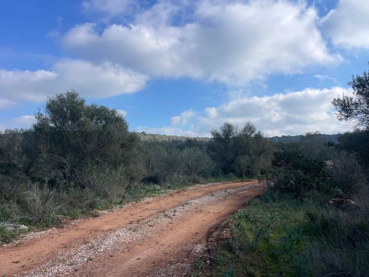 5 soveværelse Finca/Landehus til salg i Campos med swimmingpool - € 4.500.000 (Ref: 9645876)