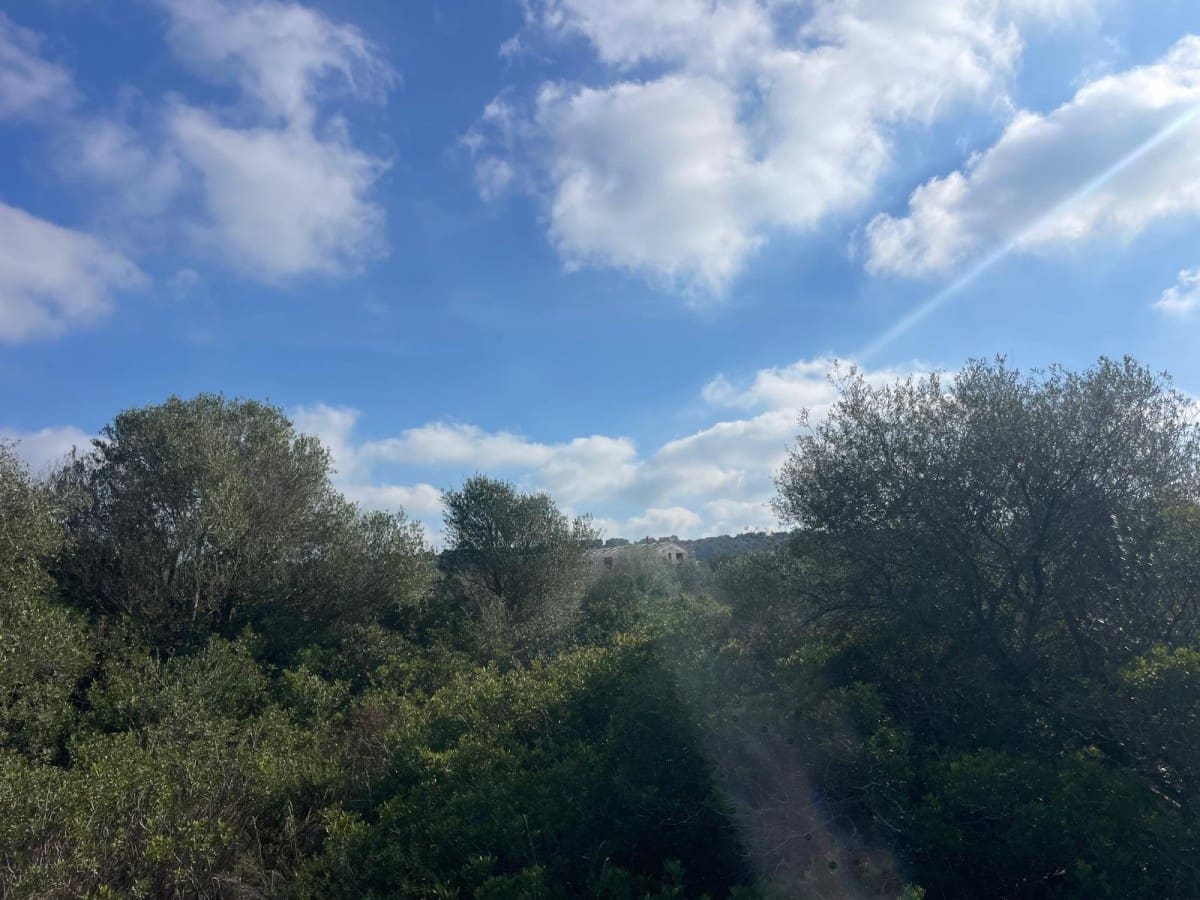 5 soveværelse Finca/Landehus til salg i Campos med swimmingpool - € 4.500.000 (Ref: 9645876)