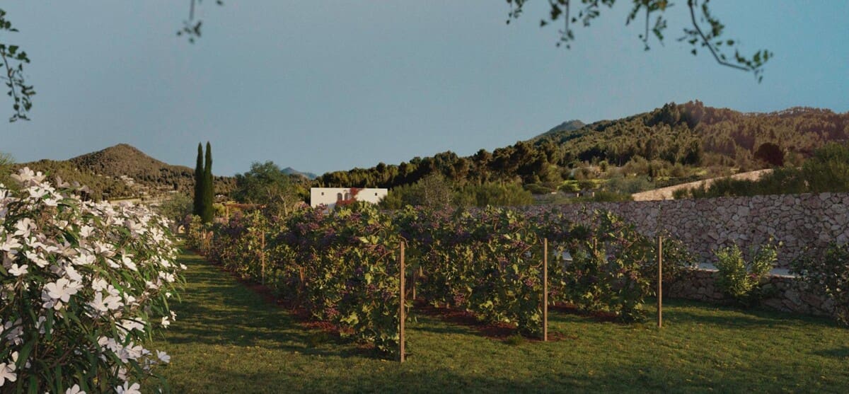 Finca/Casa Rural de 6 habitaciones en Santa Eulalia / Santa Eularia en venta con piscina - 2.200.000 € (Ref: 9669066)