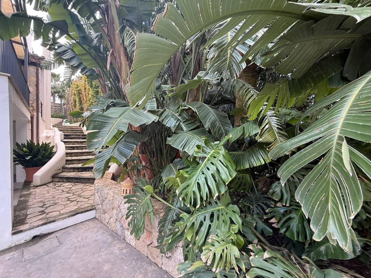 4 quarto Moradia para venda em Es Capdella com piscina - 2 395 000 € (Ref: 9821622)