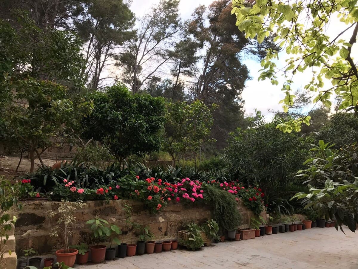 2 bedroom Flat for sale in Cala Mayor - € 375,000 (Ref: 9861470)