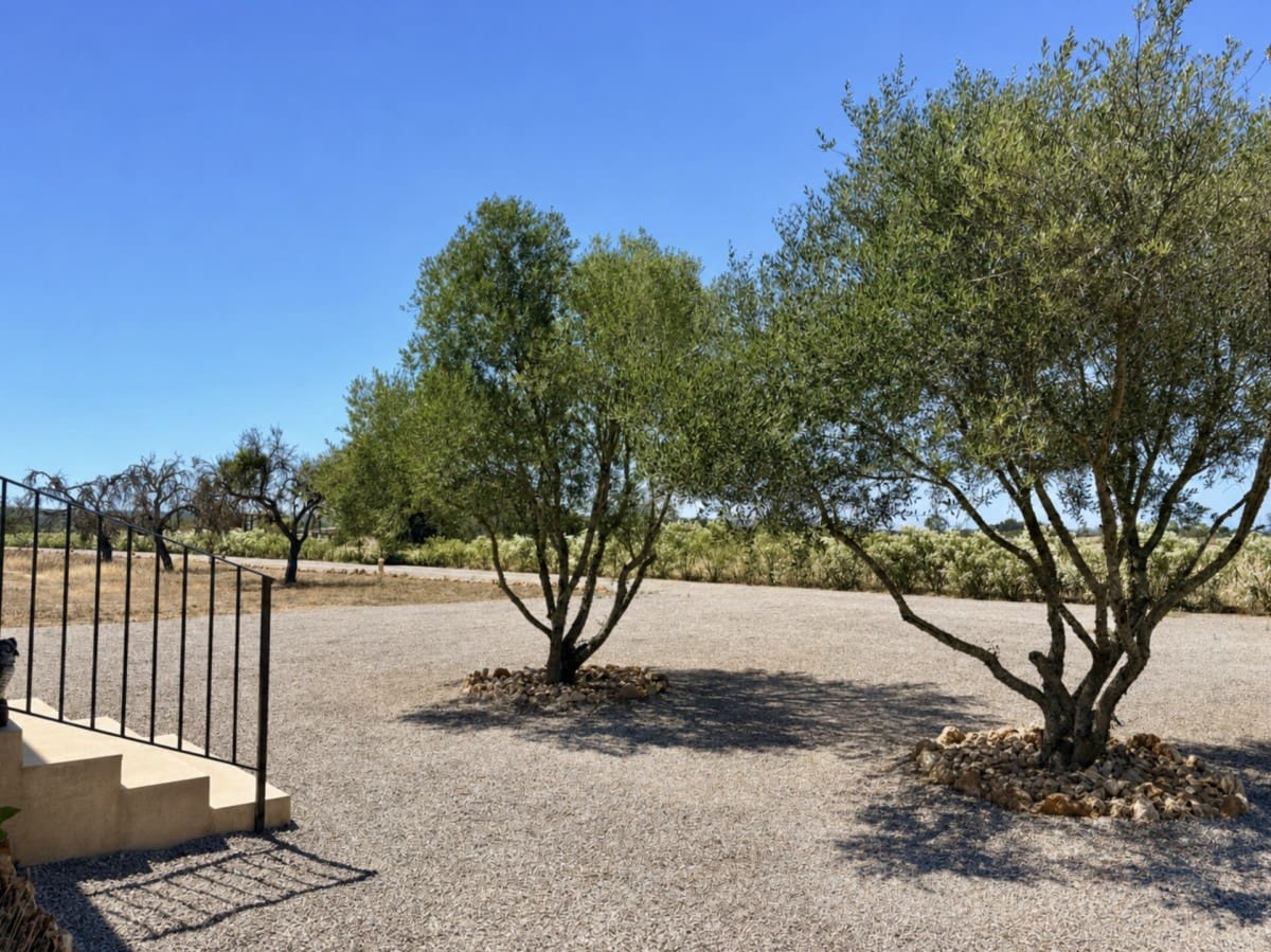 3 slaapkamer Finca/Landhuis te koop in Campos met zwembad garage - € 1.680.000 (Ref: 9956567)