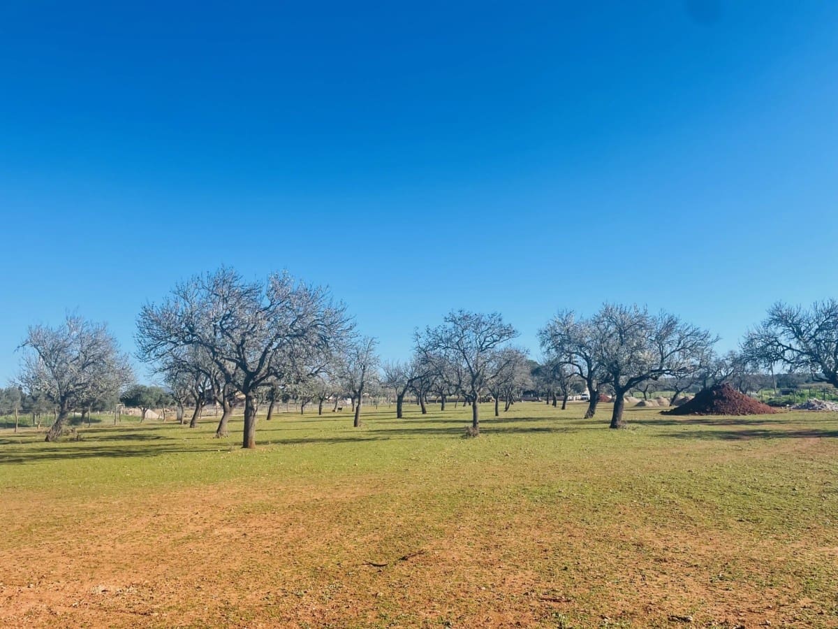 3 slaapkamer Finca/Landhuis te koop in Campos met zwembad garage - € 1.680.000 (Ref: 9956567)