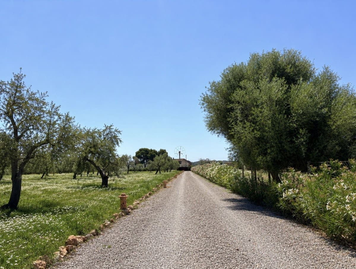 3 slaapkamer Finca/Landhuis te koop in Campos met zwembad garage - € 1.680.000 (Ref: 9956567)