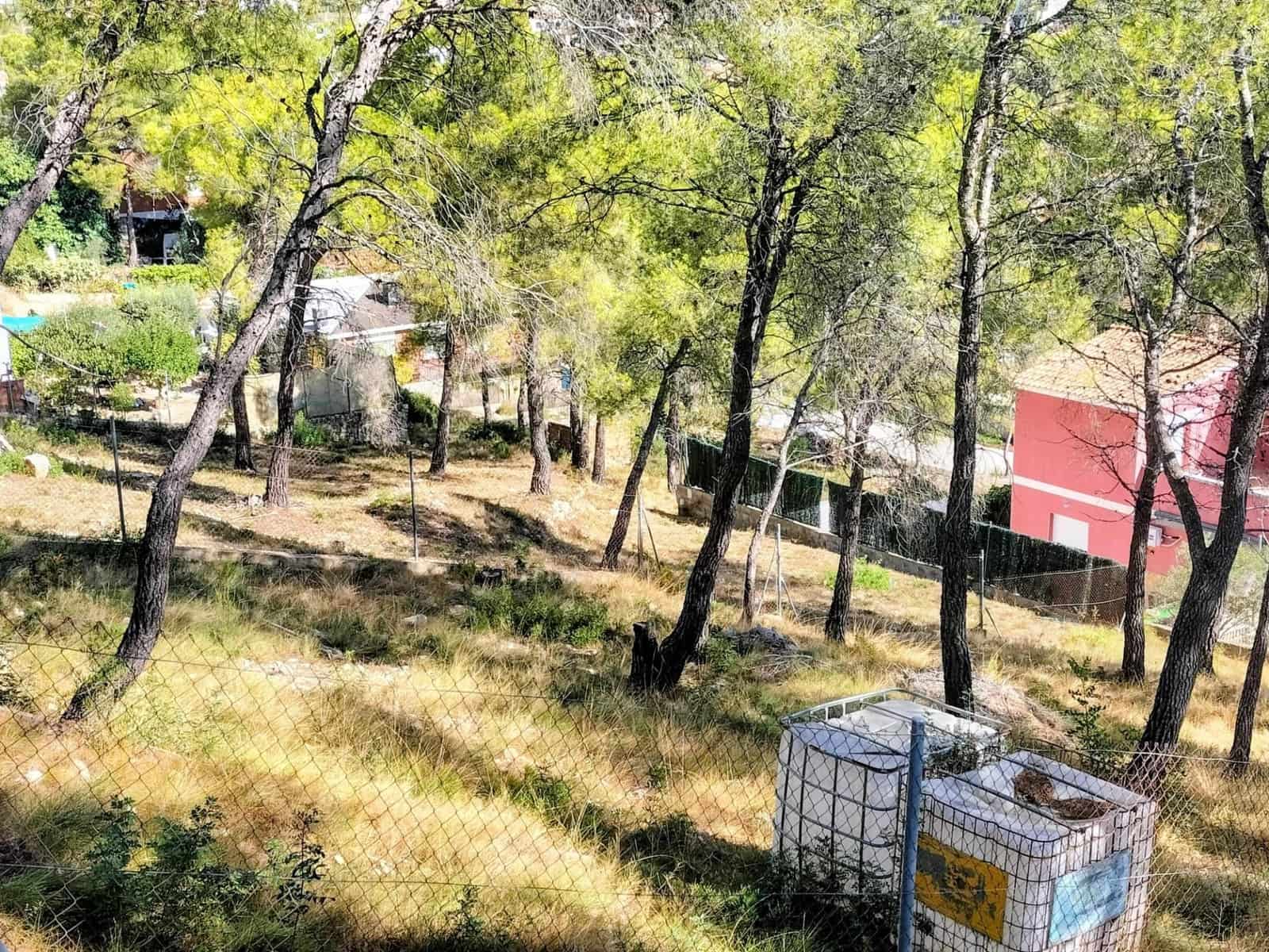 Działka budowlana na sprzedaż w Canyelles - 30 000 € (Ref: 10109785)