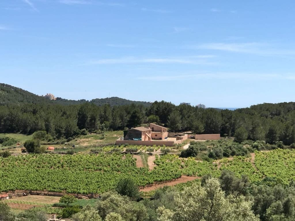 Finca/Landhuis te koop in Sant Pere de Ribes - € 5.000.000 (Ref: 6216763)