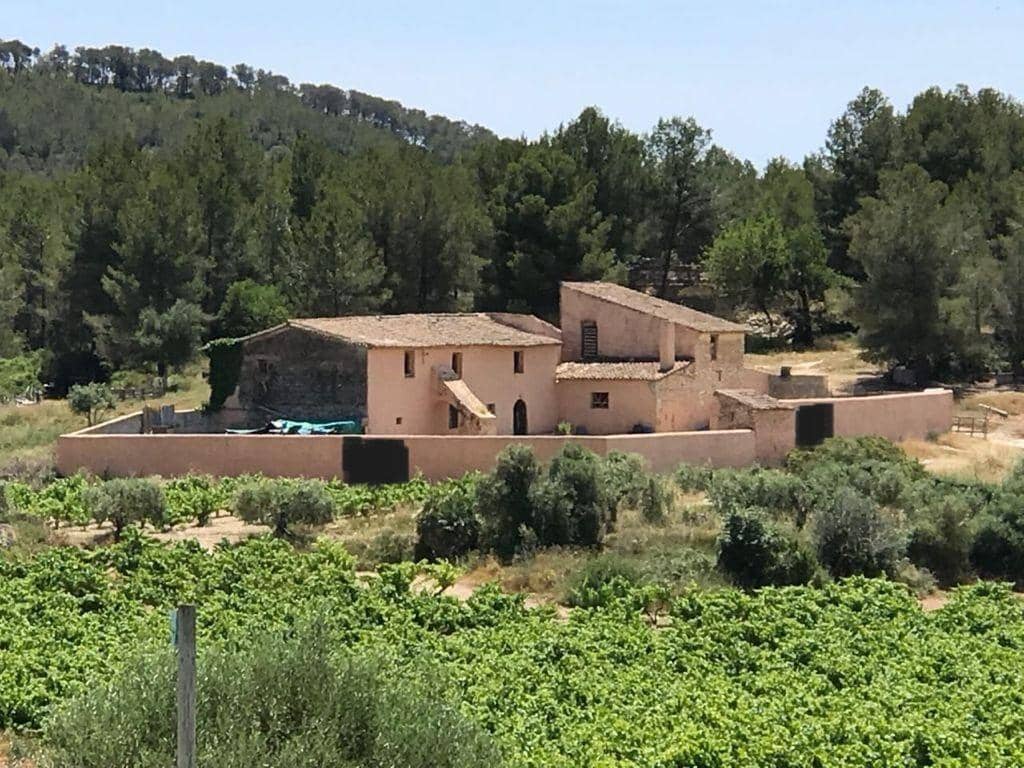 Finca/Landhuis te koop in Sant Pere de Ribes - € 5.000.000 (Ref: 6216763)